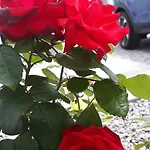 Apartman Sweet Near Old Town *
