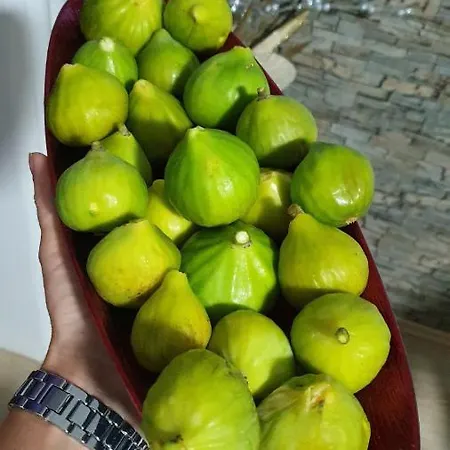 Apartament Sweet Near Old Town *